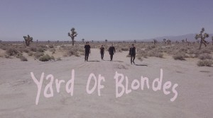 Yard Of Blondes-jpg.com