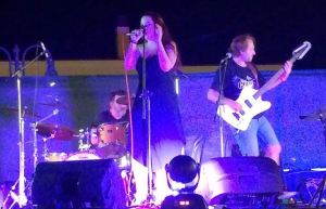 Felony Case-jpeg.com