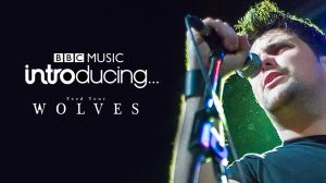 Andy Davidson,Feed Your Wolves-jpg.com