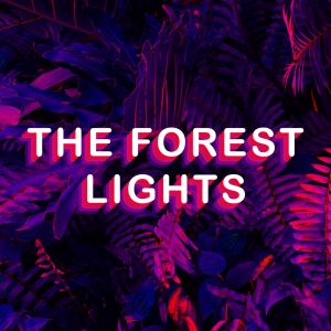 The Forest Lights-jpg.com