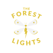 The Forest Lights-jpg.com