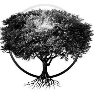 Secret Treehouse-jpg.com