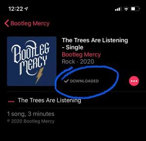 Bootleg Mercy-jpg.com