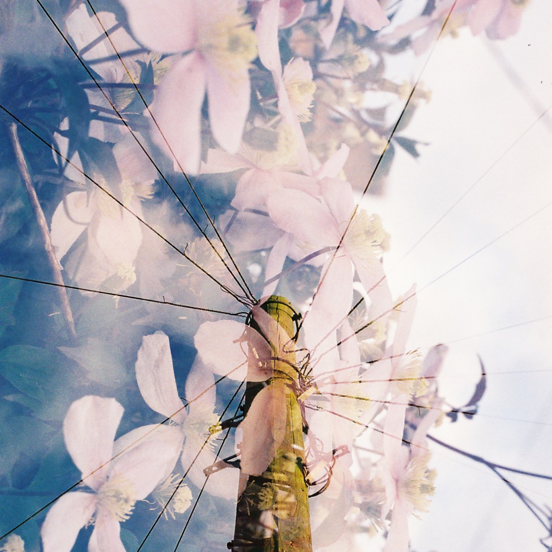 Mona Atkinson-jpg.com