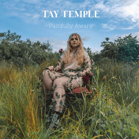 Tay Temple Painfully Aware-jpg.com